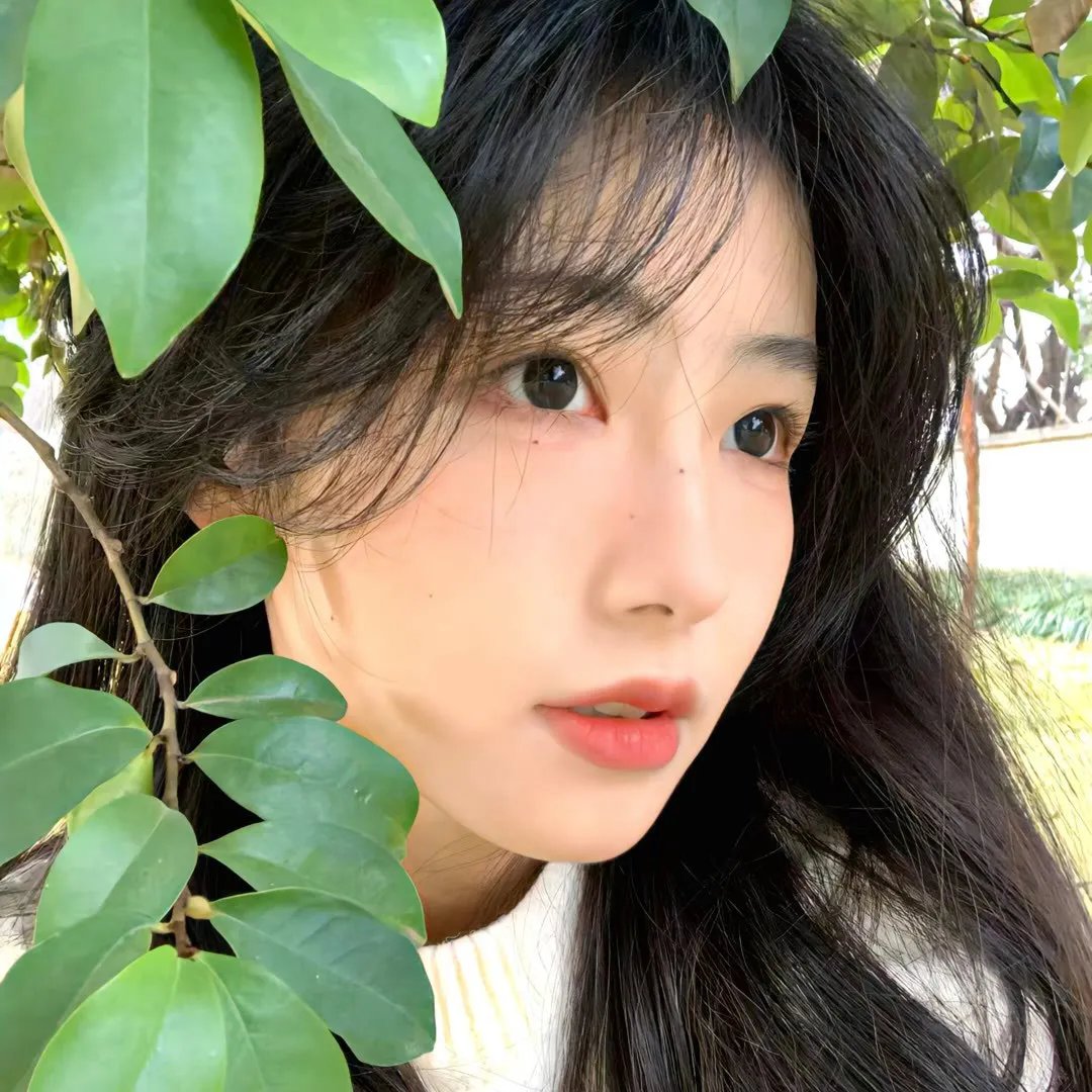 无宿